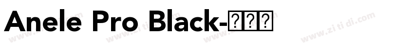 Anele Pro Black字体转换